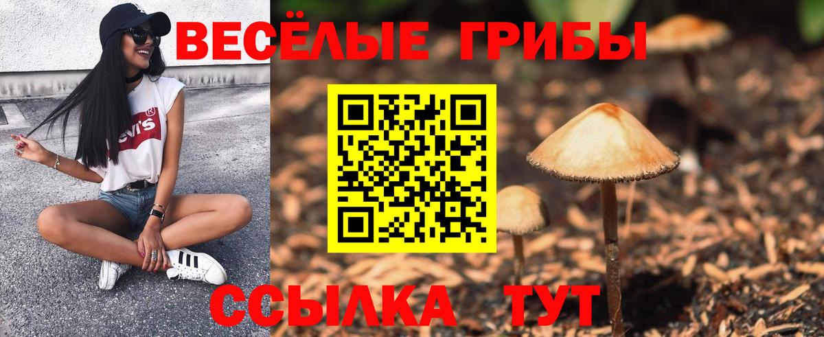 Ярцево  Псилоцибиновые грибы MAGIC MUSHROOMS  закладки  Вход с VPN 